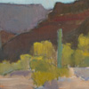 arizona 03