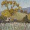winters, ca