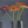 zinnia